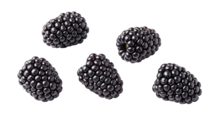 Isolated blackberries