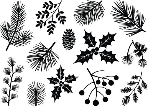 Festive winter foliage collection with pine needles, holly, and pinecone silhouettes