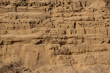 A wall of compacted sand with swift burrows