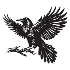 Black Raven Bird Silhouette Vector Illustration design, Solid White Background