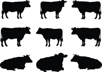 Silhouette Vector Collection of Cows Standing and Lying Down, Farm Animal Set for Agriculture, Dairy, Livestock, and Rural Design