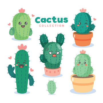 Cactus Collection Illustration