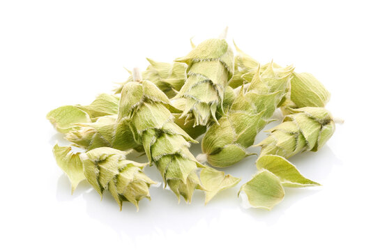 Mountian tea. Greek mountain tea sideritis in closeup