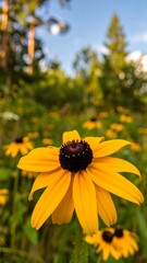 Close-up of a bright yellow flower in a field