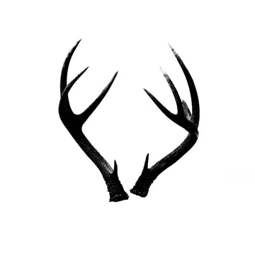 Festive Reindeer Antler Branches Gobo Texture in Blackand White