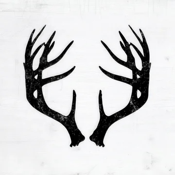 High Contrast Deer Horn Shadow on White Background