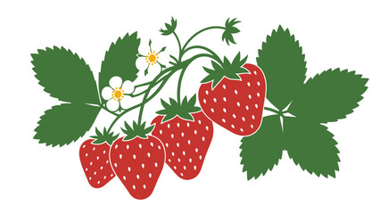 Fresh Strawberries on Vine with Green Leaves and White Flowers Illustration