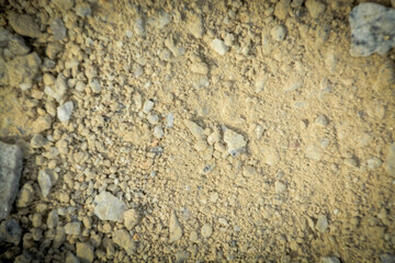 A macro photograph of a dry, yellowish-brown earth surface, highlighting the detailed texture of sand, dirt, and small rocks for a natural backdrop.
