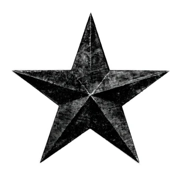 Festive Star Ornament Shadow Pattern in Black and White
