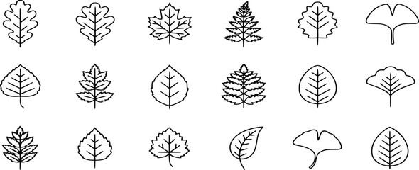 leaf icon set line style. Leaves of trees and plants, Leaves icon Collection, design for natural, eco, bio, and vegan labels. Vector illustration.
