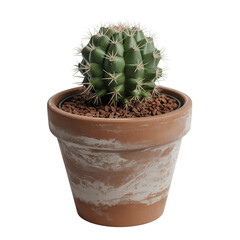 Caktus in clay pot isolated on transparent or white background. A high resolution PNG image of Dead Plant in clay pot