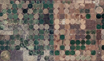 Kansas Farmland: High-Resolution Satellite View of Center Pivot Irrigation Patterns © Aerial View