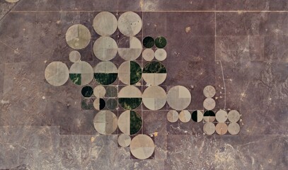 Kansas Farmland: High-Resolution Satellite View of Center Pivot Irrigation Patterns