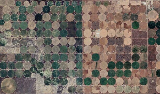 Kansas Farmland: High-Resolution Satellite View of Center Pivot Irrigation Patterns