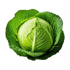 Fototapeta premium head of fresh cabbage isolated on white or transparent