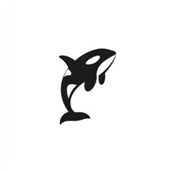 Simple black and white illustration of a killer whale on a plain background