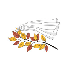 Bridal veil caught on autumn branch isolated on transparent background