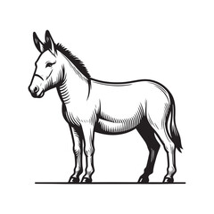 Obraz premium Donkey Standing Pose – Black and White Vector Line Art Farm Animal Illustration