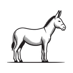 Fototapeta premium Donkey Standing Pose – Black and White Vector Line Art Farm Animal Illustration