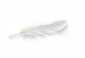 Single white feather, delicate texture, floating on pure white background,  minimalist,  macro