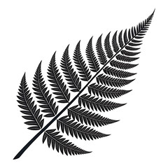 Detailed black and white illustration of a fern frond