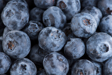 Close up on Blueberry Fruit