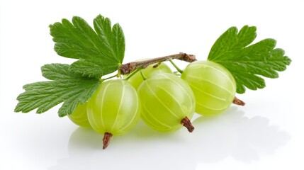 Fresh green gooseberries with leaves on white background
