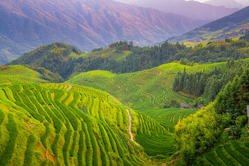 Beautiful layers of the rice terraces of Longji - China