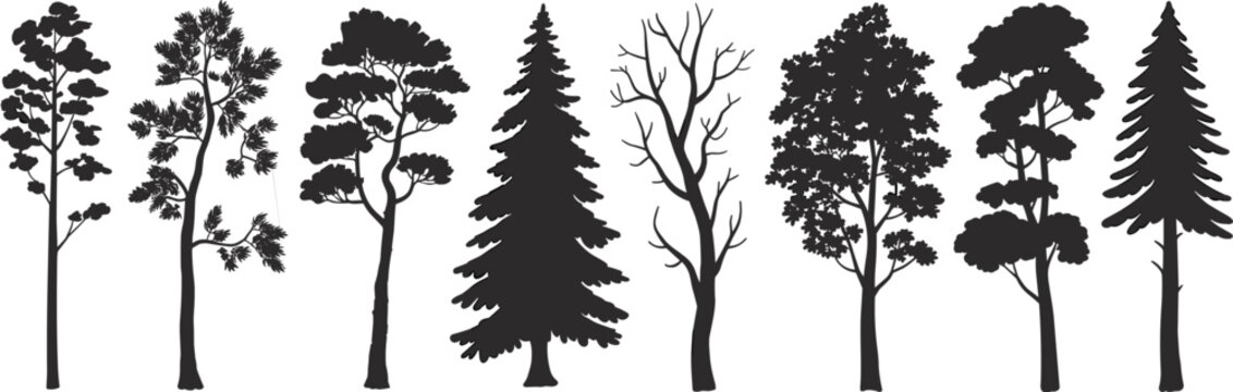 Flat vector illustration of different tree silhouettes, pine and deciduous forest elements, nature icons for landscape design, botanical decor.