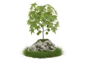 A vibrant miniature bonsai tree, with delicate green leaves, rests atop a weathered rock, surrounded by lush grass, creating a serene and peaceful composition.