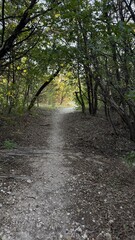 Obraz premium Cleburne State Park is a 528-acre Texas state park in Johnson County, Texas operated by the Texas Parks and Wildlife Department. The park includes the 116-acre, spring-fed Cedar Lake that was created 