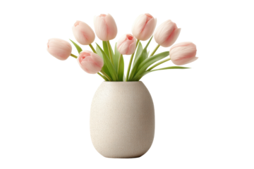 Elegant pink tulips in textured beige vase, cut out