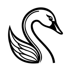 Black Swan Isolated On White