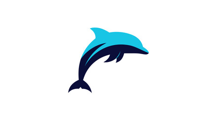 Obraz premium Ocean mammal dolphin aquatic animal marine wildlife.