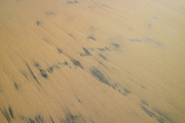 Sand and black mineral deposits creating abstract patterns on a beach. Nature, texture, and geology.