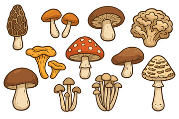 Mushroom vector illustration set. Fungi collection with various species. Cartoon edible and poisonous fungus. Forest nature food design element. Morel, shiitake, amanita.