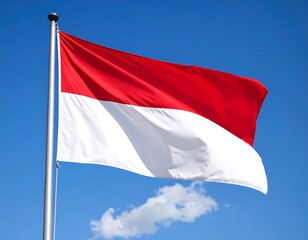 National flag waving in the clear blue sky