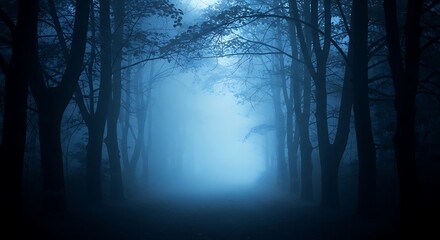 Fototapeta premium Mysterious Foggy Forest Path at Night.