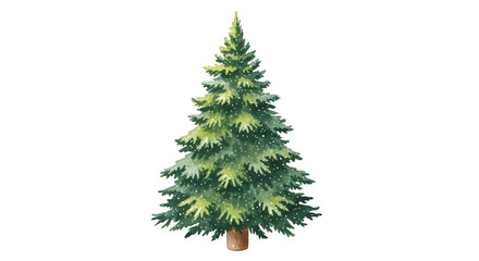 Green fir tree isolated on transparent background