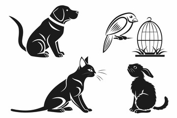 Fototapeta premium black and white cats