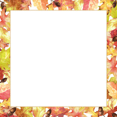 Foliage frame of red, yellow and orange maple, oak leaves and acorns. Fall decorative element. Thanksgiving holiday clipart. Square design. Hand-drawn watercolor illustration for greeting card