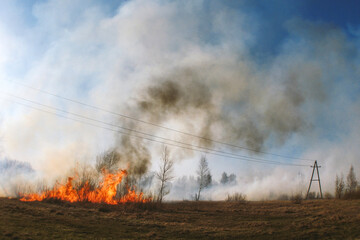 Intense Flames Engulfing Dry Vegetation in a Rural Landscape with Billowing Smoke