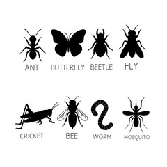 set of insects