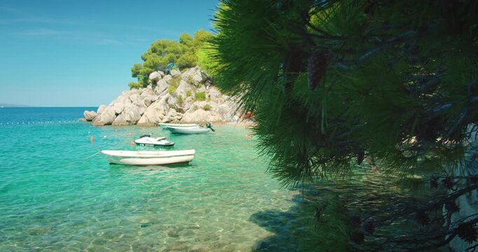 Pine branches hang over quiet cove with anchored boats and emerald sea below