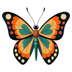 butterfly vector illustration