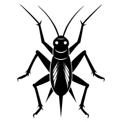 grasshopper on white background