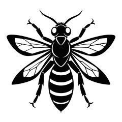 bee vector illustration