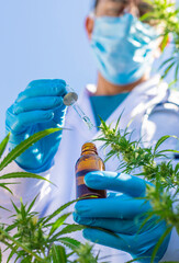 A doctor holding a medical cannabis study. Selective focus.