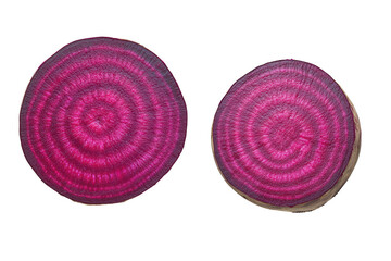 Two cross sections of a fresh beetroot displaying intricate concentric growth rings