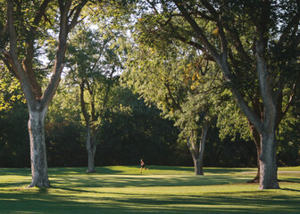 Runner Amongst the Trees